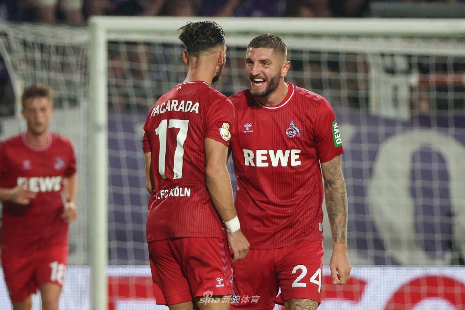 介入调查的 介入调查的